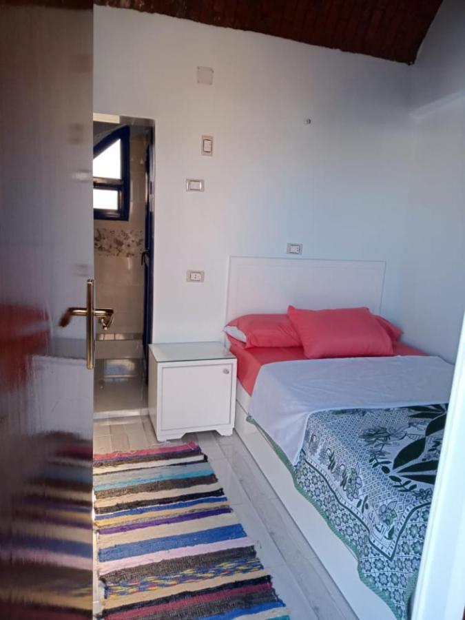 أسوان Bakar Guest House المظهر الخارجي الصورة