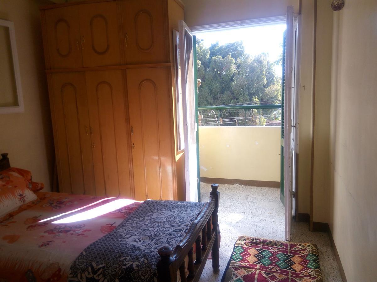 أسوان Bakar Guest House المظهر الخارجي الصورة