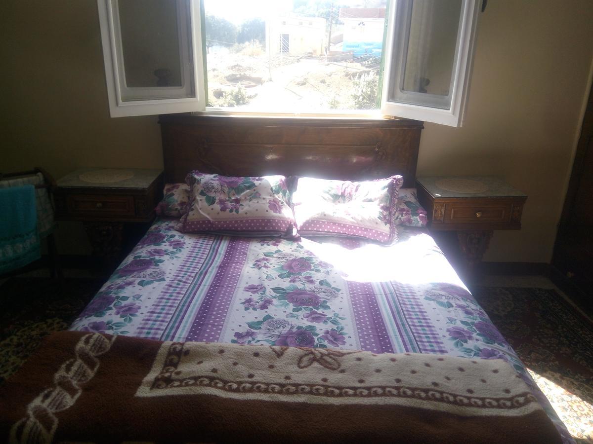 أسوان Bakar Guest House المظهر الخارجي الصورة