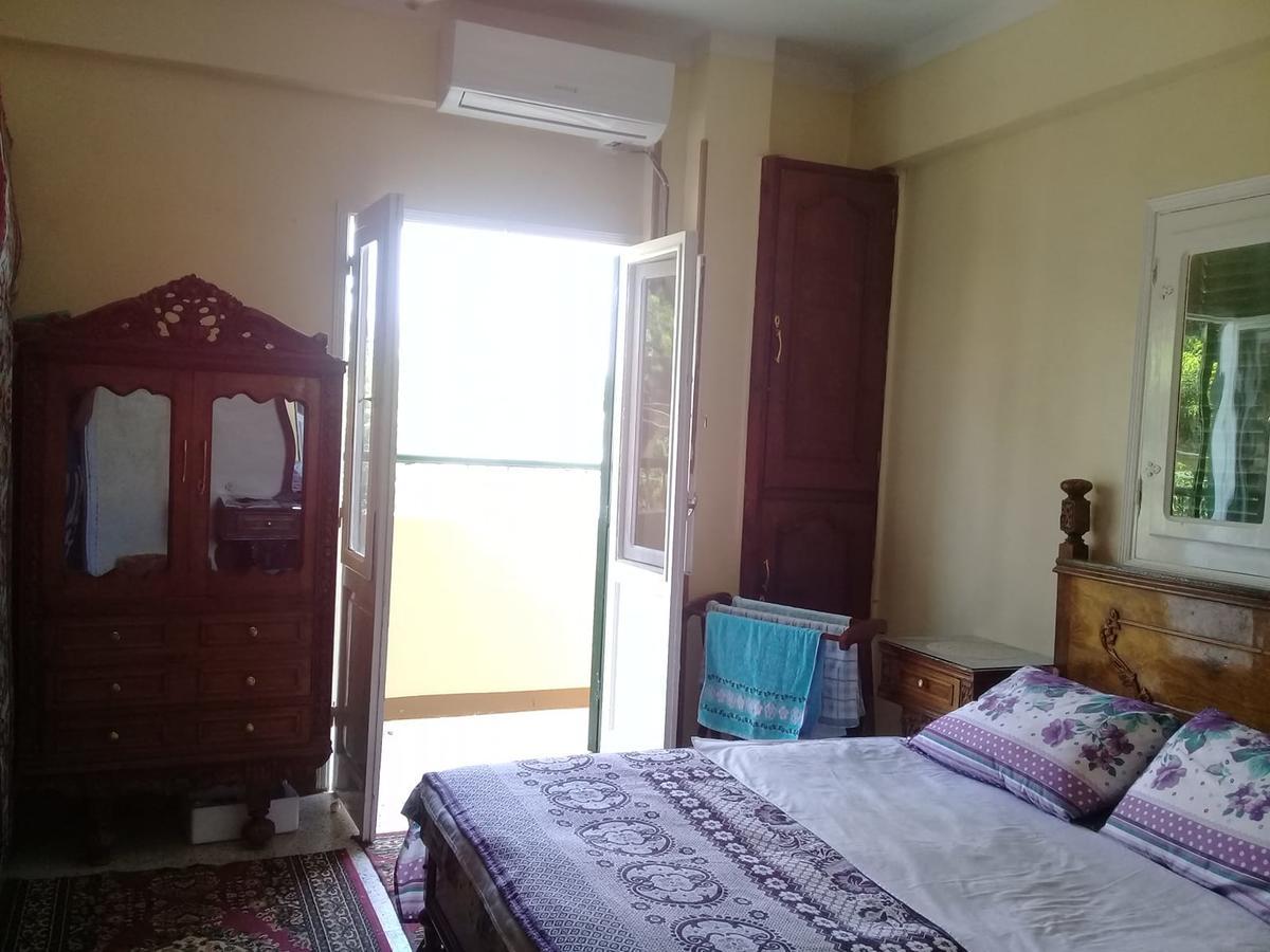 أسوان Bakar Guest House المظهر الخارجي الصورة